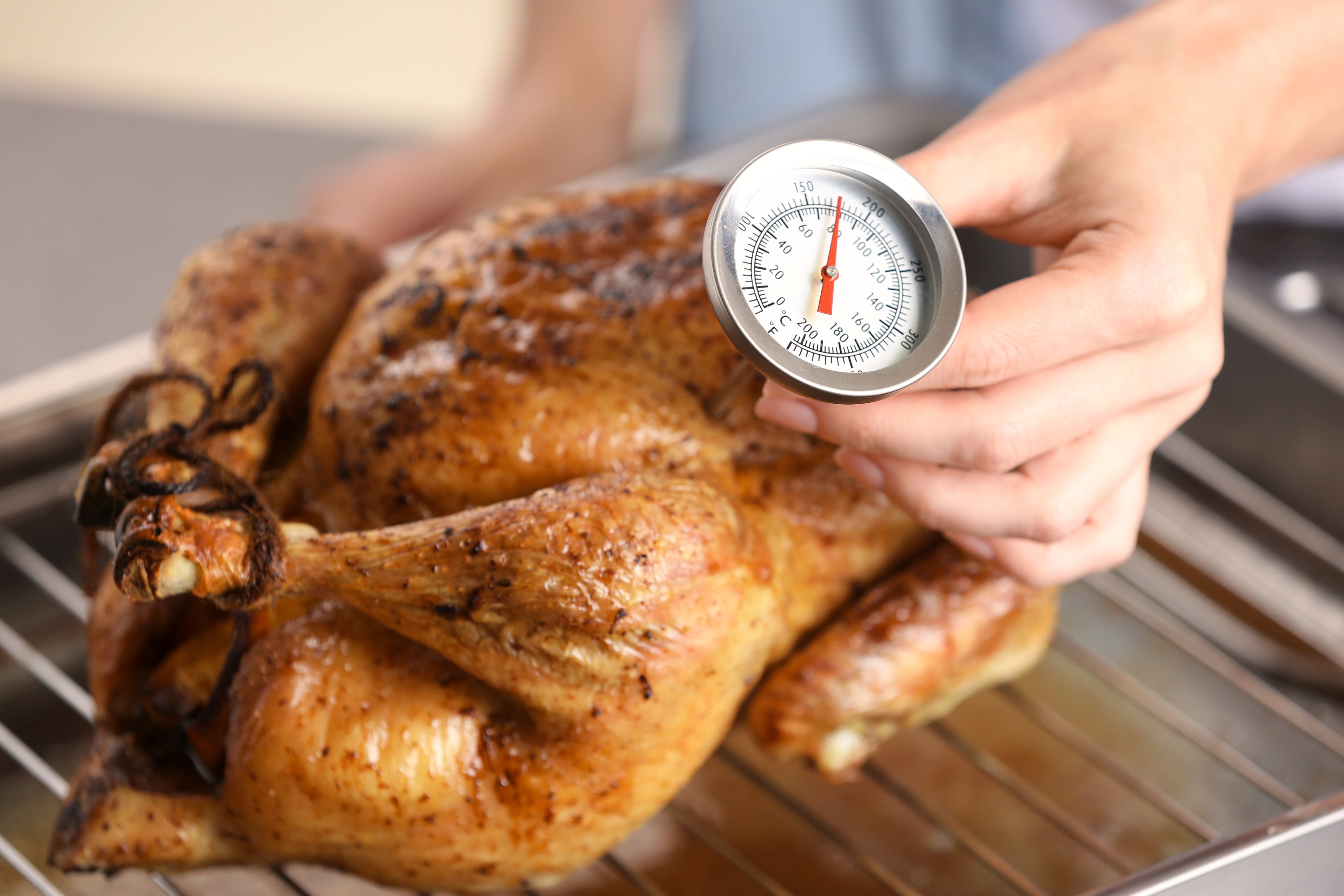 Meat Thermometers You Need For Cooking A Turkey